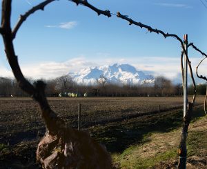 Il Territorio è dominato dal Massiccio del Monte Rosa