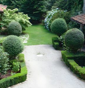 Particolare della Corte Fontana